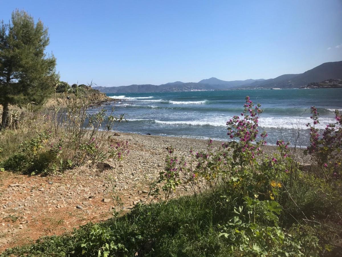 A Chic Four-Person Apartment By The Beach At Cap Ras Llança Dış mekan fotoğraf